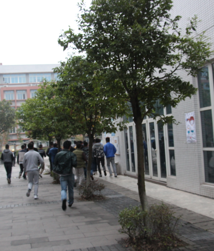 澳门正规电子游戏平台