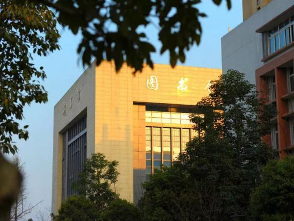 电子游戏1篇经验材料在市委办公厅主办的《渝办工作》上刊发