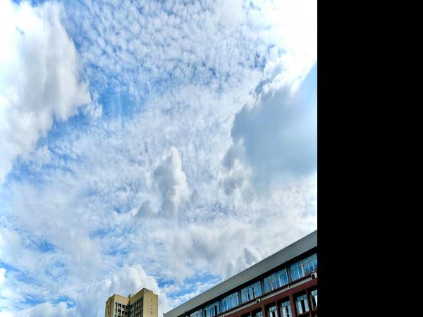 【学习进行时】习近平对宣传思想文化工作作出重要指示