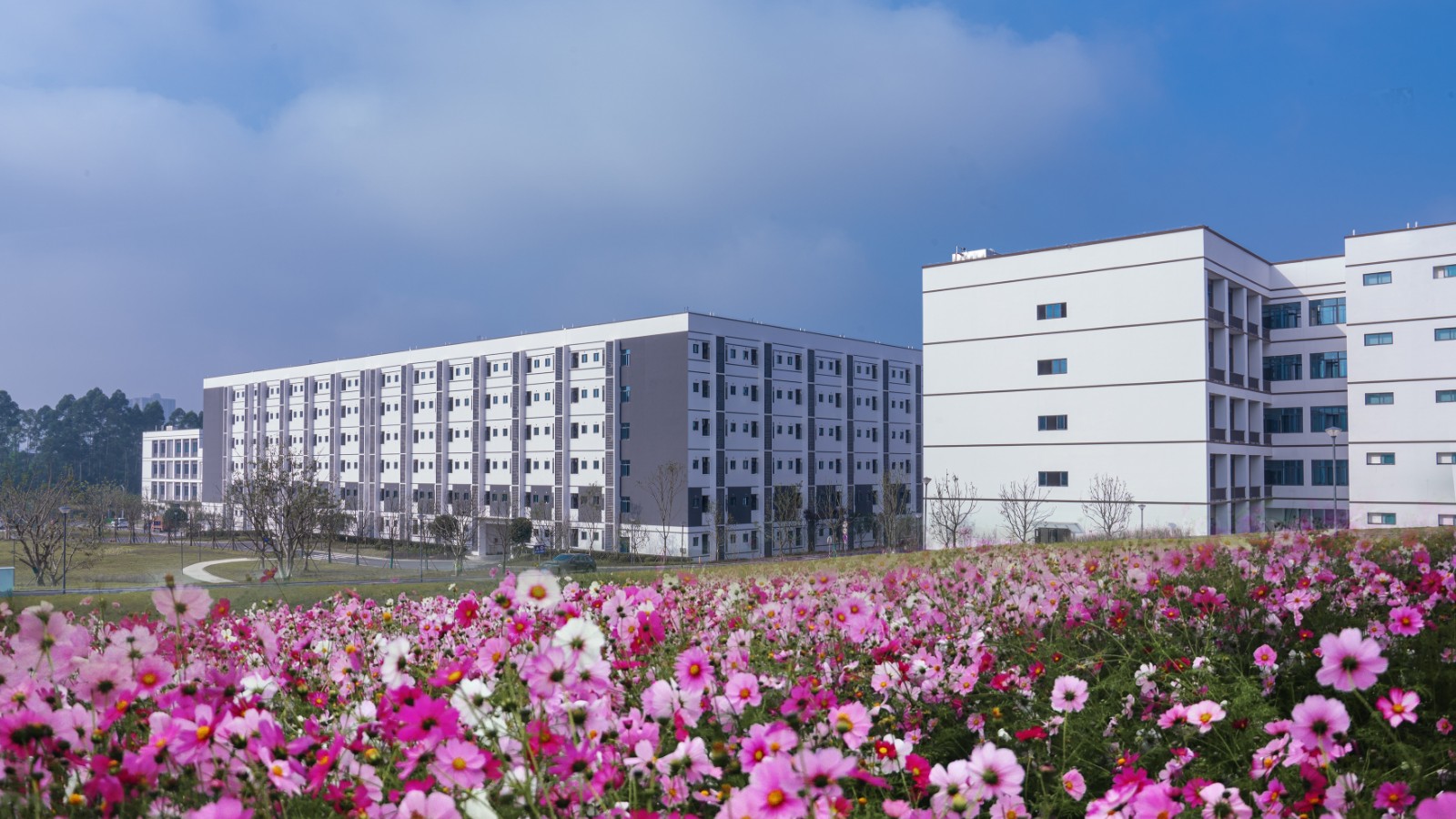 科学城新校区教学楼