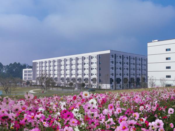 电子游戏1作品获评重庆市大中小学思想政治教育一体化建设精品微课