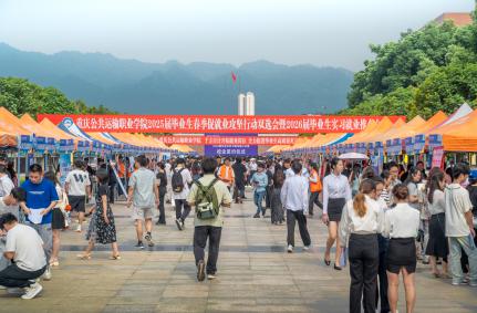 电子游戏成功举办2025届毕业生春季促就业攻坚行动双选会暨2026届毕业生实习就业推介会