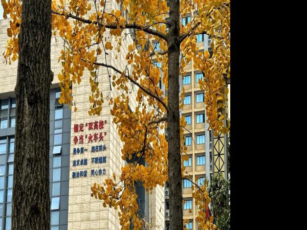 喜报！电子游戏2个集体、2名教师党员获市委教育工委和重庆交通开投集团党委“两优一先”表彰和命名