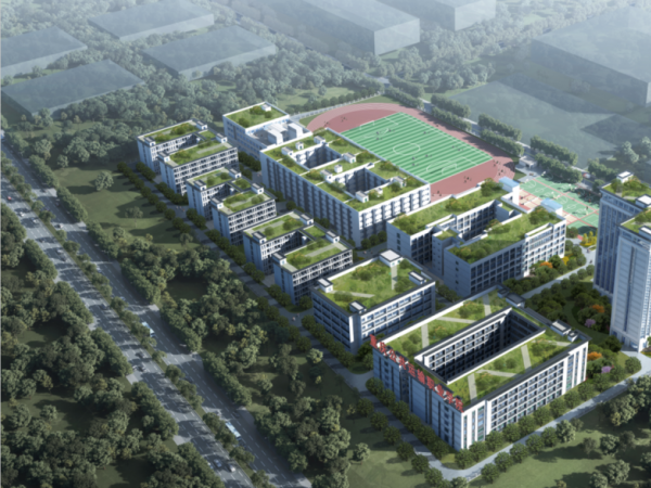 电子游戏2个支部、1个“双带头人”教师党支部书记工作室通过全市高校党建“双创”验收 