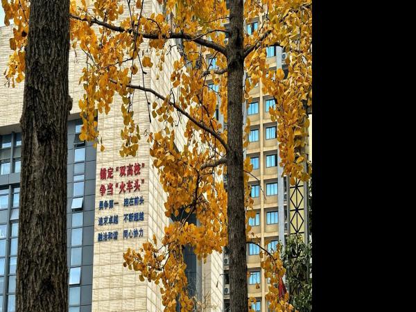 电子游戏获评2025年重庆市教育咨政决策论文三等奖1项 